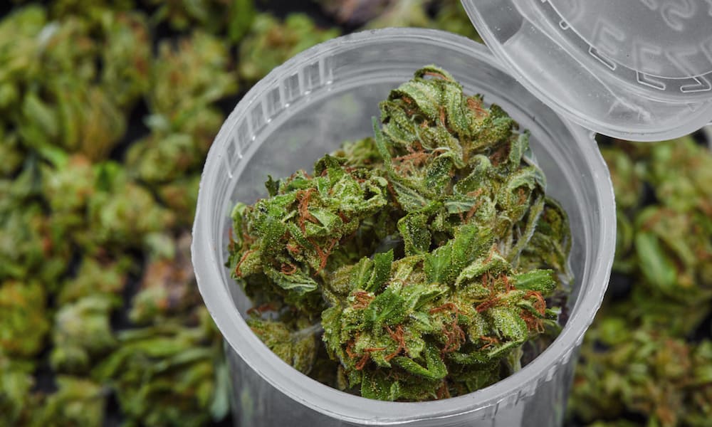 marijuana medicine